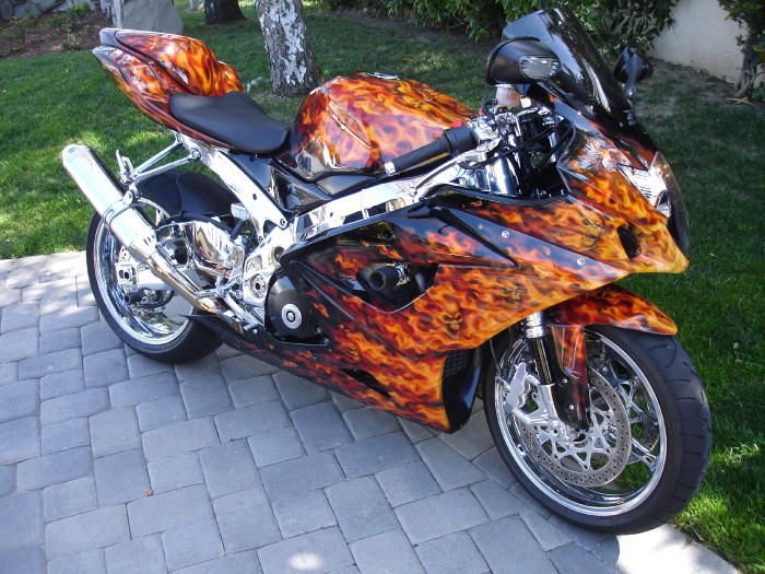 Motorcycle touring trip